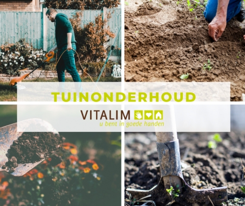 Tuinonderhoud